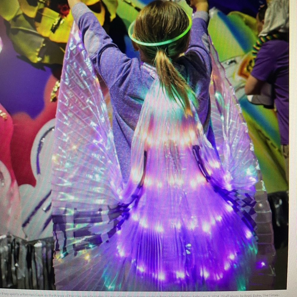 Mardi Gras bundle! Coveted MG throws-Muses shoe, LED wings, stuffy, and more! - Picture 4 of 8